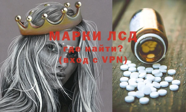 спиды Магас