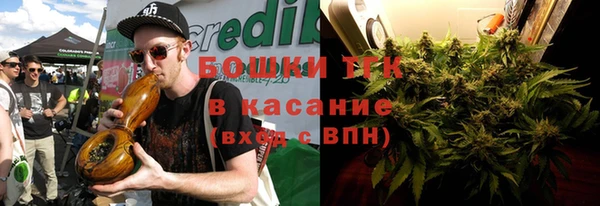 спиды Магас