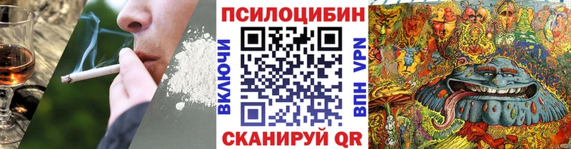 Псилоцибиновые грибы Cubensis  Купить закладки  Зубцов 